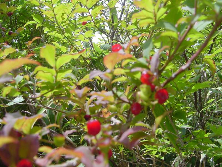 Dsc01644_1