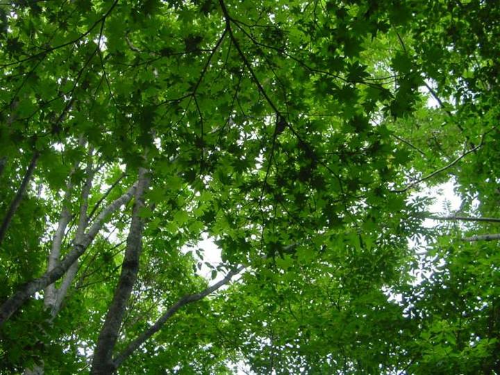 Dsc01648