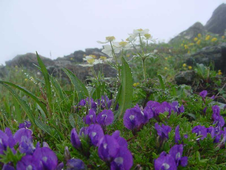 Dsc01662_1