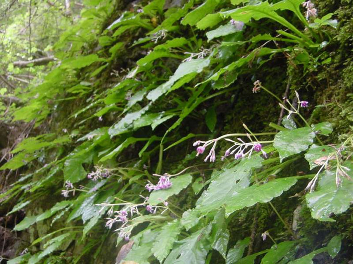 Dsc01688_2