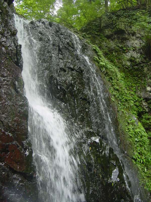 Dsc01691