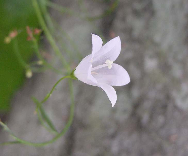 Dsc01692_2