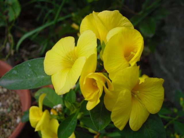 Dsc01701