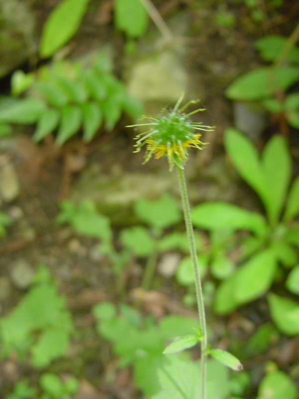 Dsc01711_2