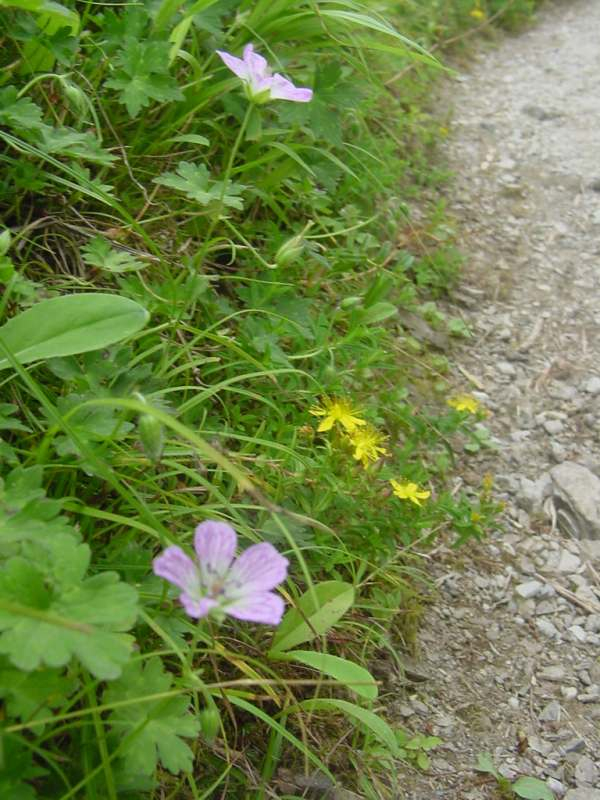 Dsc01725_1