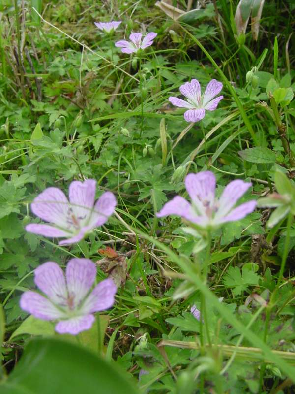 Dsc01726_2