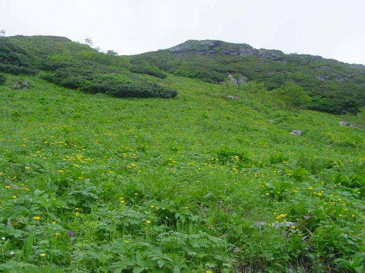Dsc01727