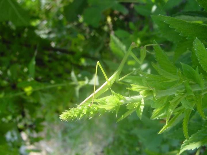Dsc01730_2