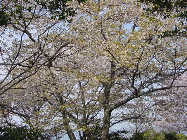 Dsc01735