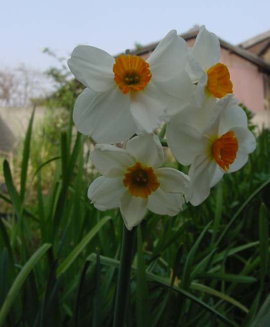 Dsc01739