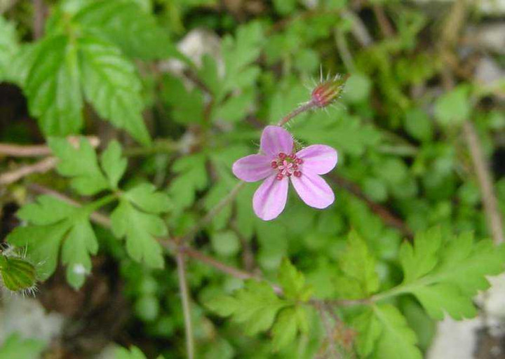 Dsc01739_4