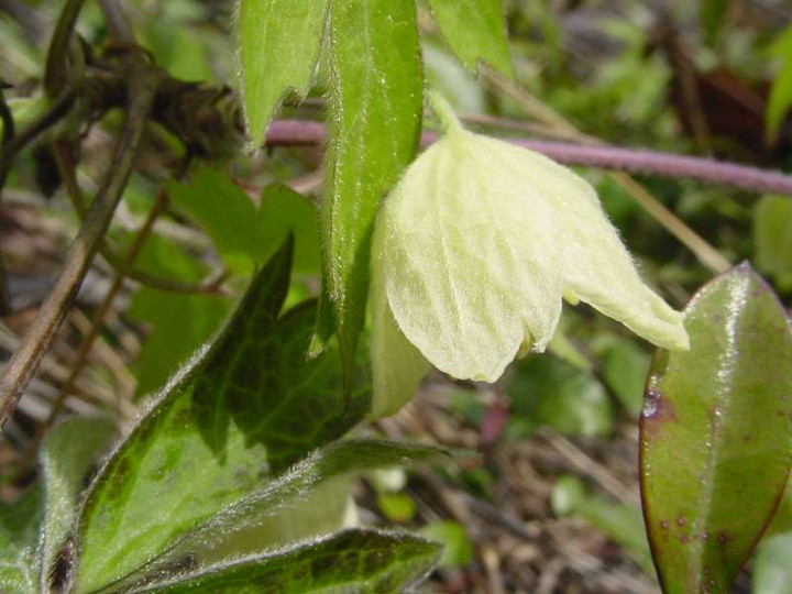 Dsc01740_1