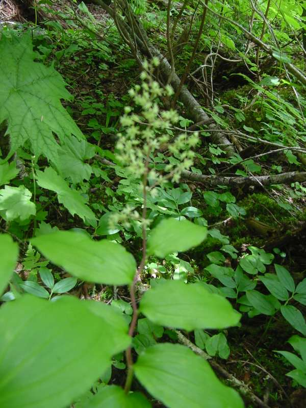 Dsc01750