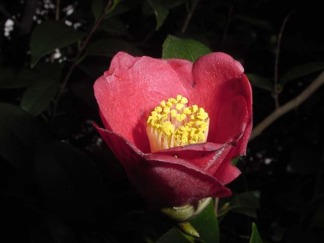 Dsc01756