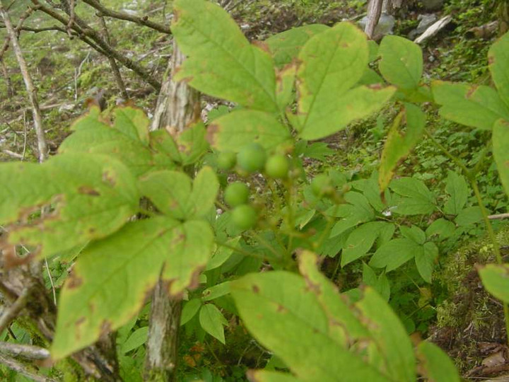 Dsc01757_2
