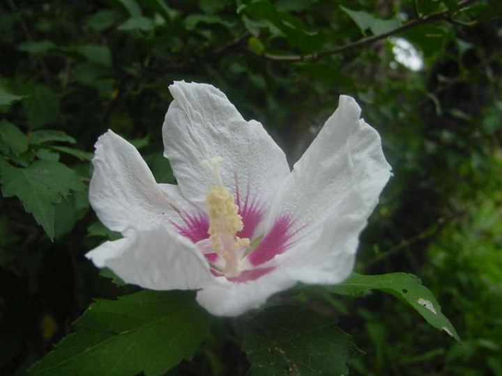 Dsc01758