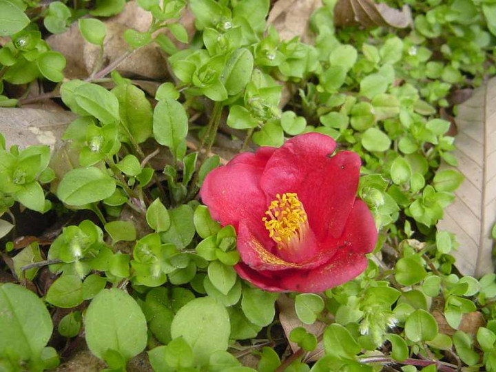 Dsc01760