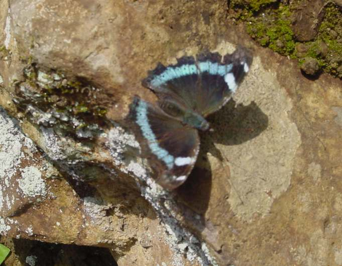 Dsc01760_1