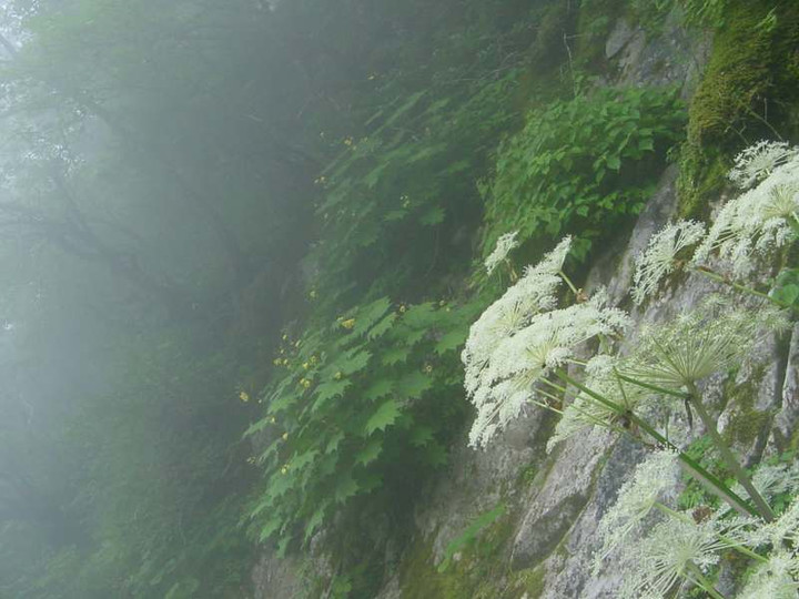 Dsc01789_2