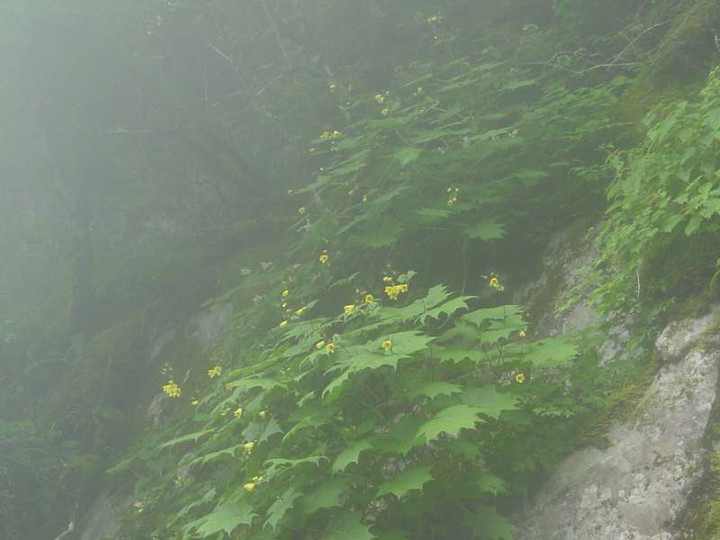 Dsc01792