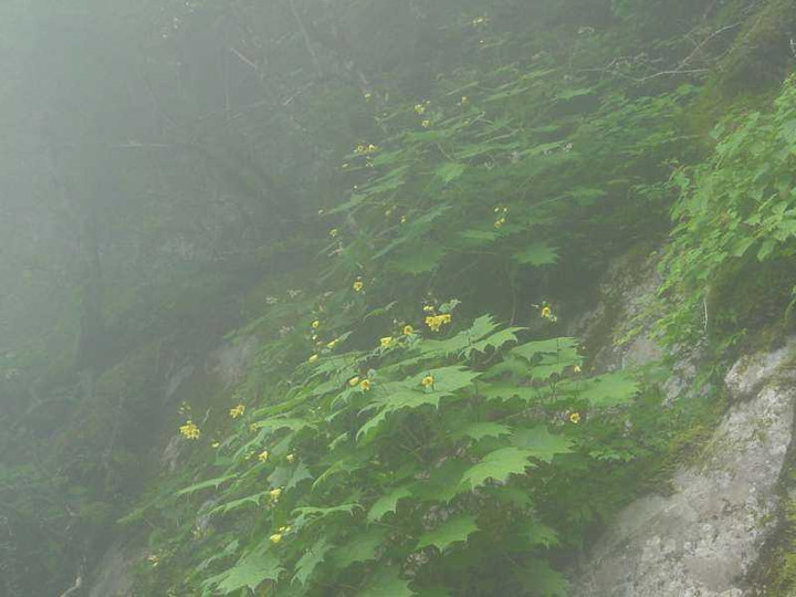 Dsc01792_1