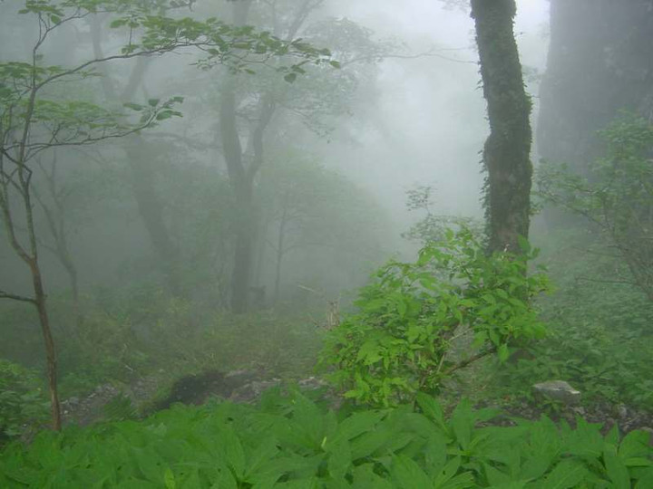 Dsc01794