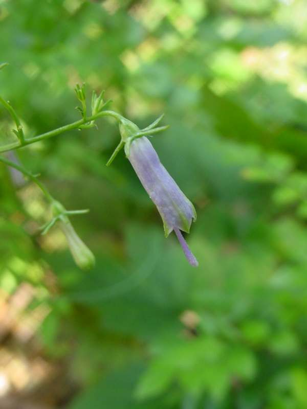 Dsc01799
