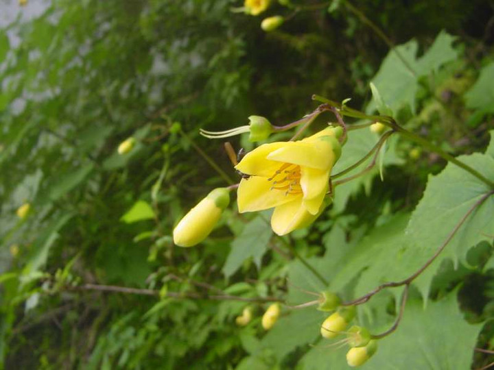 Dsc01807