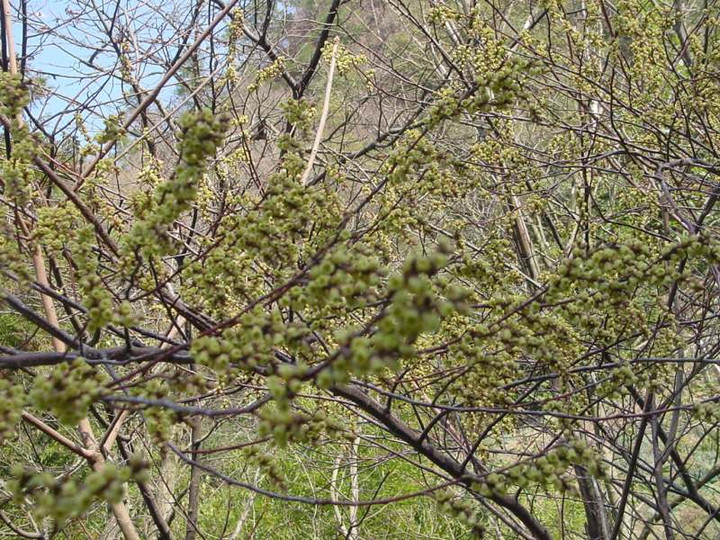 Dsc01808