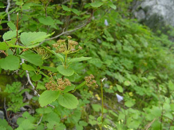 Dsc01827