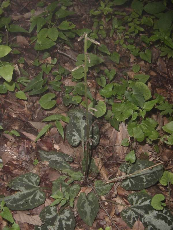 Dsc01834_3
