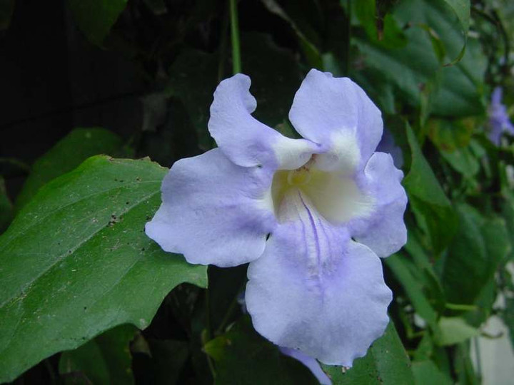 Dsc01840