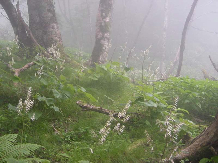 Dsc01844_1