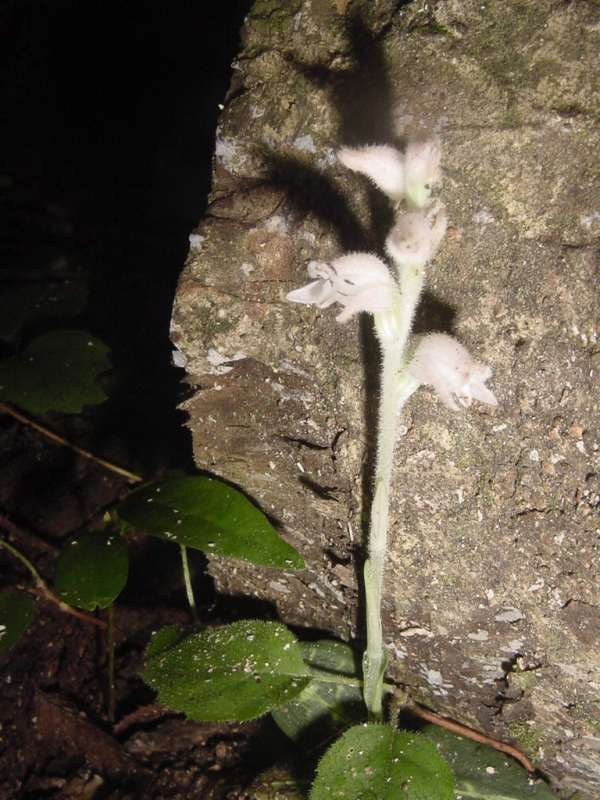 Dsc01856