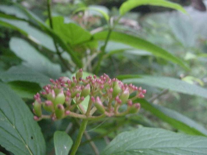 Dsc01864