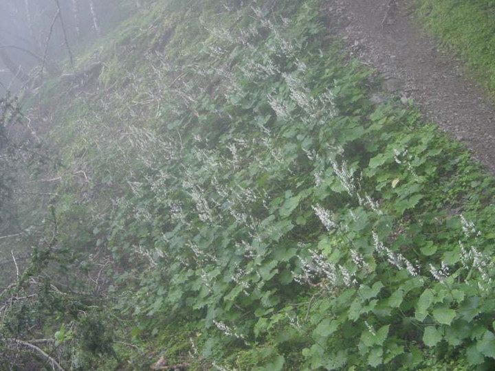 Dsc01868