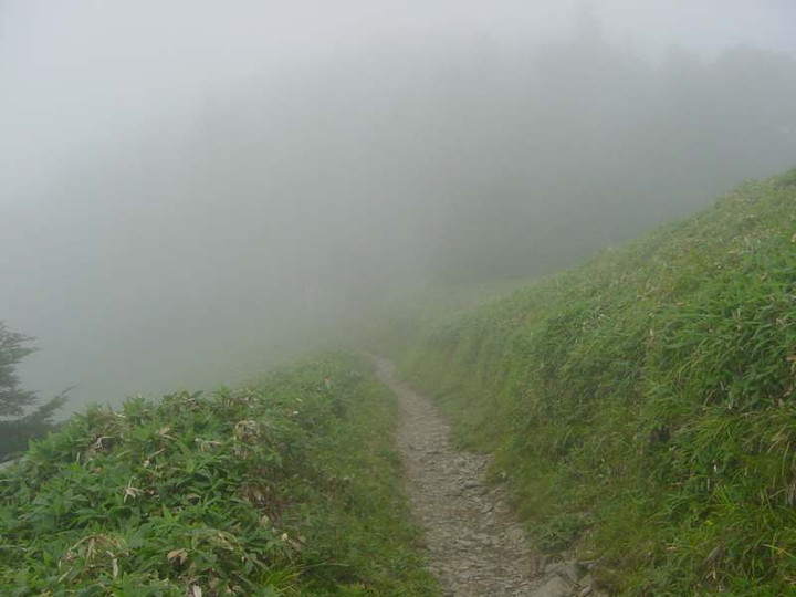 Dsc01873