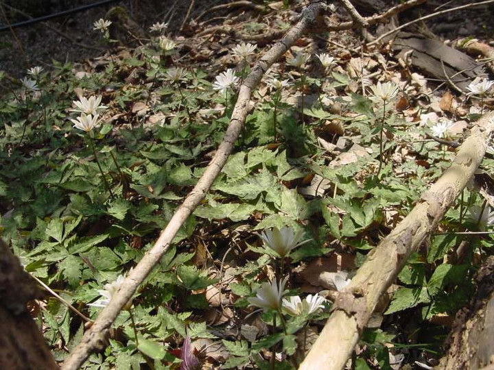 Dsc01879