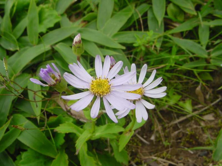 Dsc01898