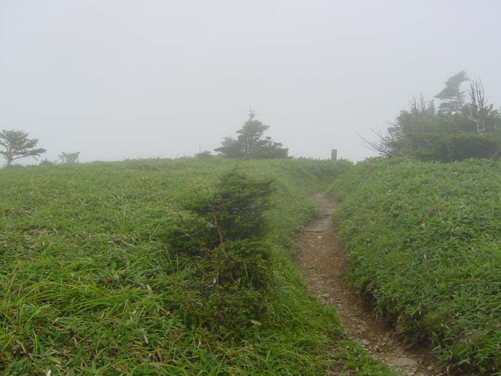 Dsc01901_1
