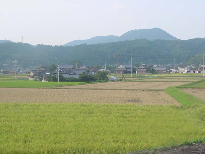 Dsc01915