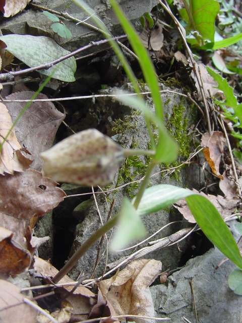 Dsc01920_1
