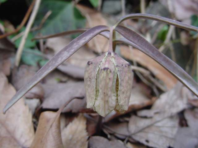 Dsc01922