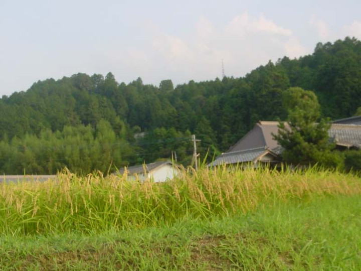 Dsc01922_1