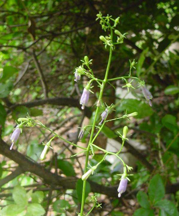 Dsc01961_3