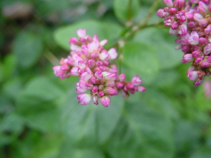 Dsc01969