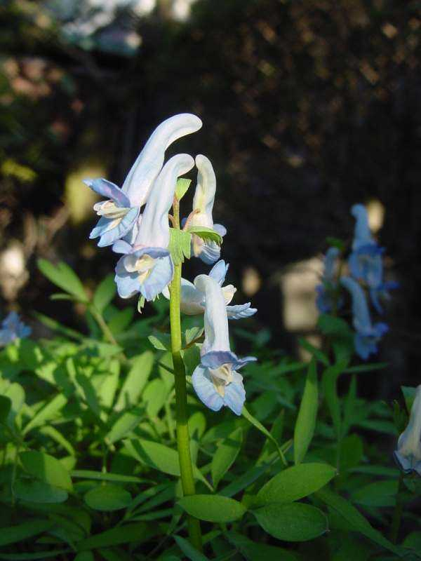 Dsc02011_2
