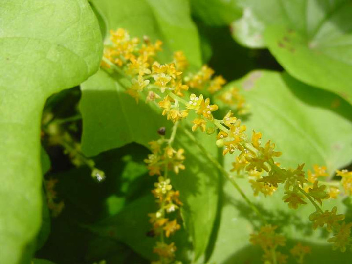 Dsc02025
