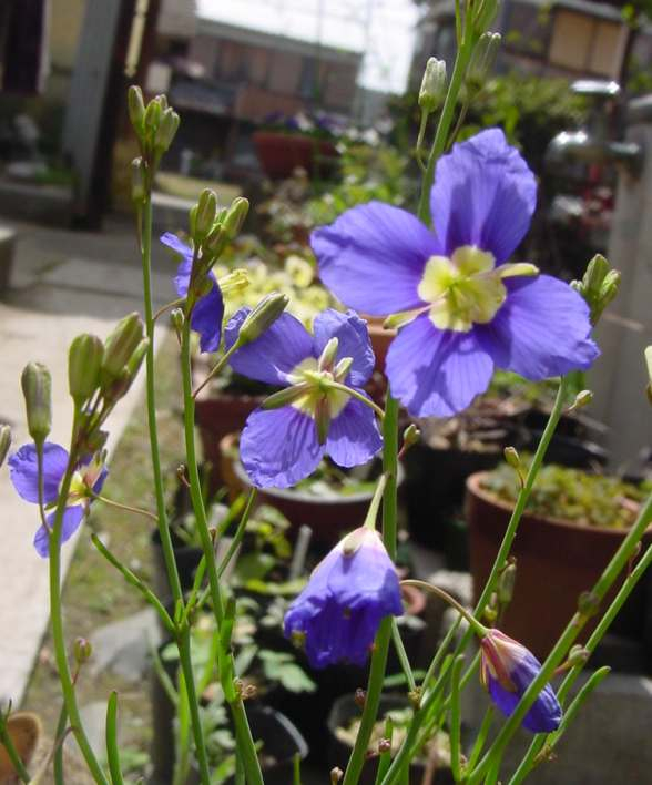 Dsc02041