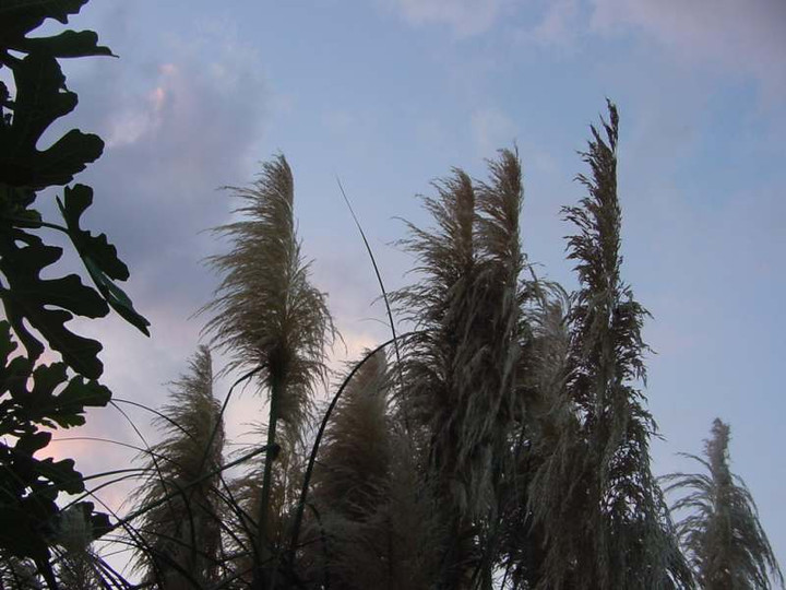 Dsc02134_1
